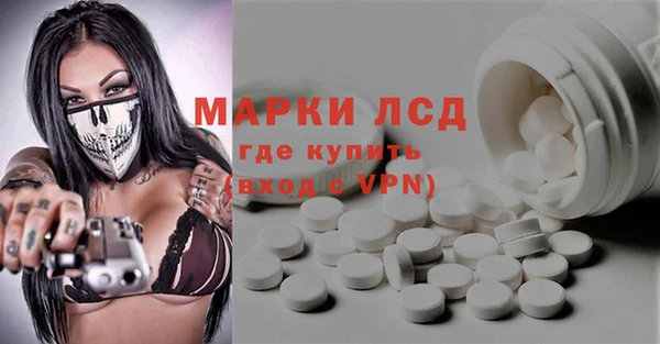 прущий лед Алзамай