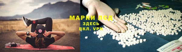 прущий лед Алзамай