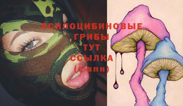 твердый Алексеевка