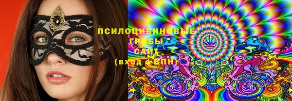 spice Алексин