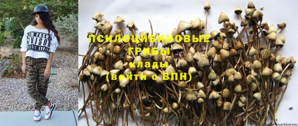 твердый Алексеевка