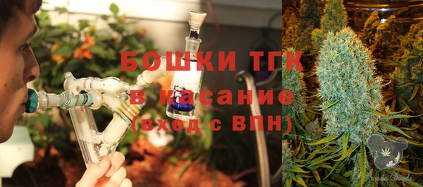 твердый Алексеевка