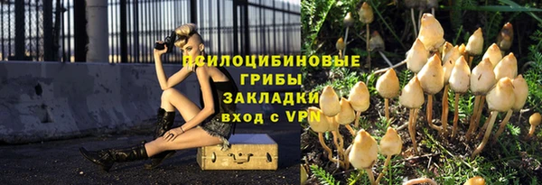 spice Алексин