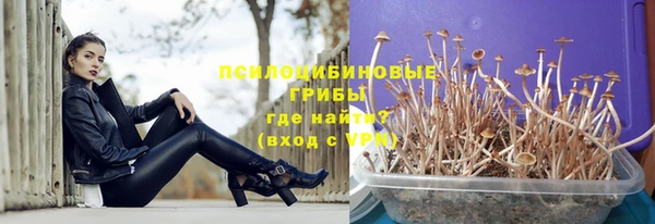 spice Алексин