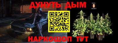 сатива Рязань