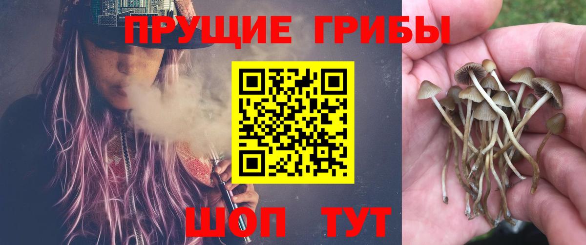 Псилоцибиновые грибы Magic Shrooms Прохладный