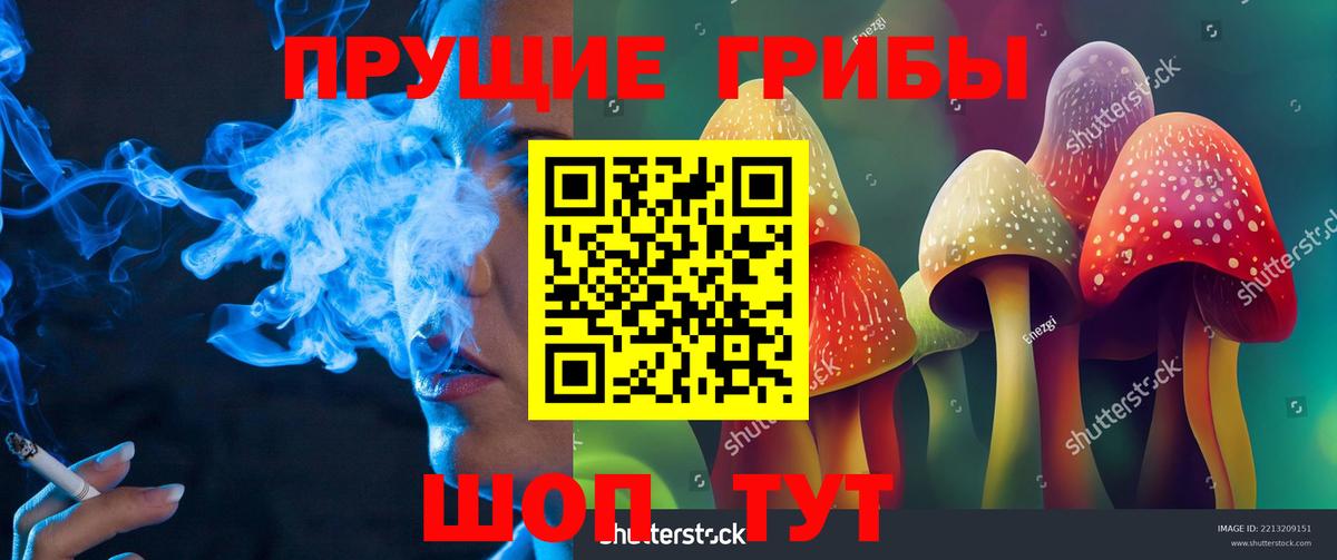 что такое   Вход с VPN  Прохладный  Псилоцибиновые грибы Magic Shrooms 