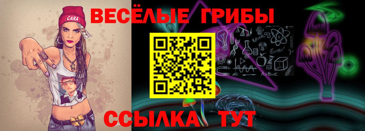 Бошки Шишки Прохладный